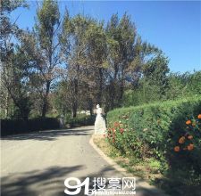 陵园风景图-9