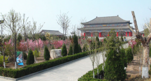 陵园风景图-5