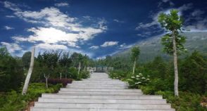 陵园风景图-5