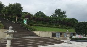 陵园风景图-1